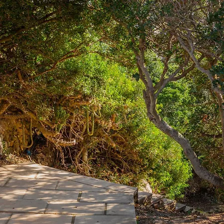 Διαμέρισμα Cala En Forcat 36